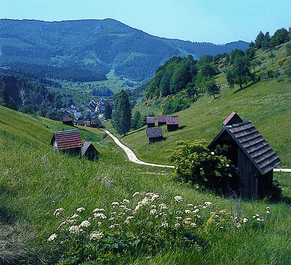 Hotel Ritter