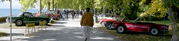 British Classic Car Meeting