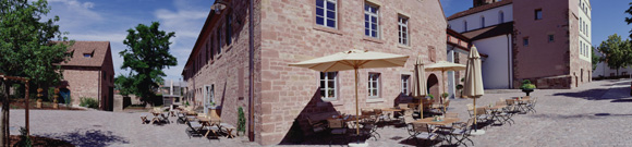 Oldtimer Ente durch die Vogesen