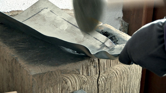 Kotfluegel2